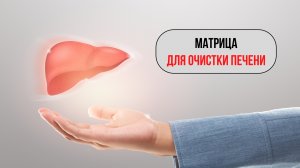 Матрица: Секреты очистки печени
