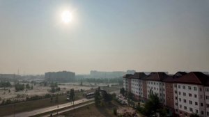 Пожар горит тайга.