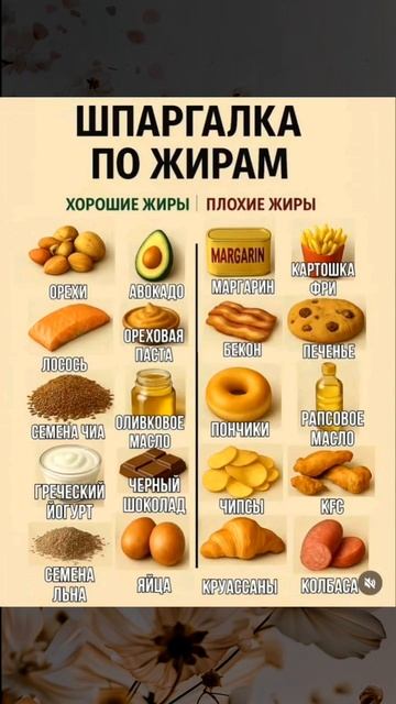 Шпаргалка по жирам