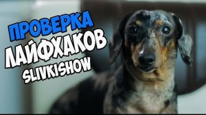 ПРОВЕРКА ЛАЙФХАКОВ С КАНАЛА Slivki Show - не всё работает!!!