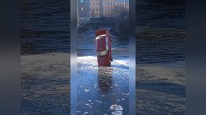 Смешняффка 15. Кошки дрифт и другие приколы недели