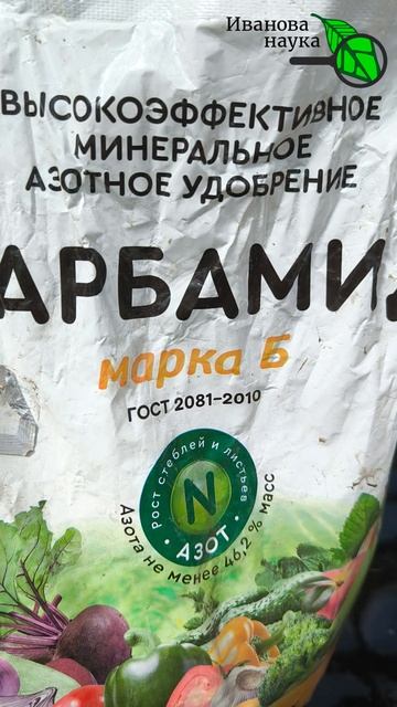 🧪 Нашатырный спирт почти БЕСПЛАТНО: ВЕДРО удобрения и защиты! 💥Рецепт домашнего приготовления.