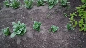 Советы под дождь.