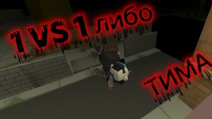 1 vs 1 либо ТИМА