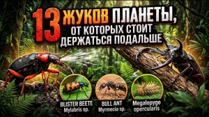 13 Жуков планеты, от которых стоит держаться подальше!