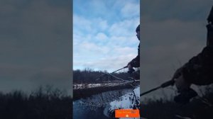 Рыбалка на дневного налима(донка)🎣
#ТОПчимДальше #Рыбалка #РыбалкавКарелии #Донка #Налим