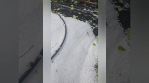 Срочная обработка после града фунгицидами.
#виноградник
#кишмиши