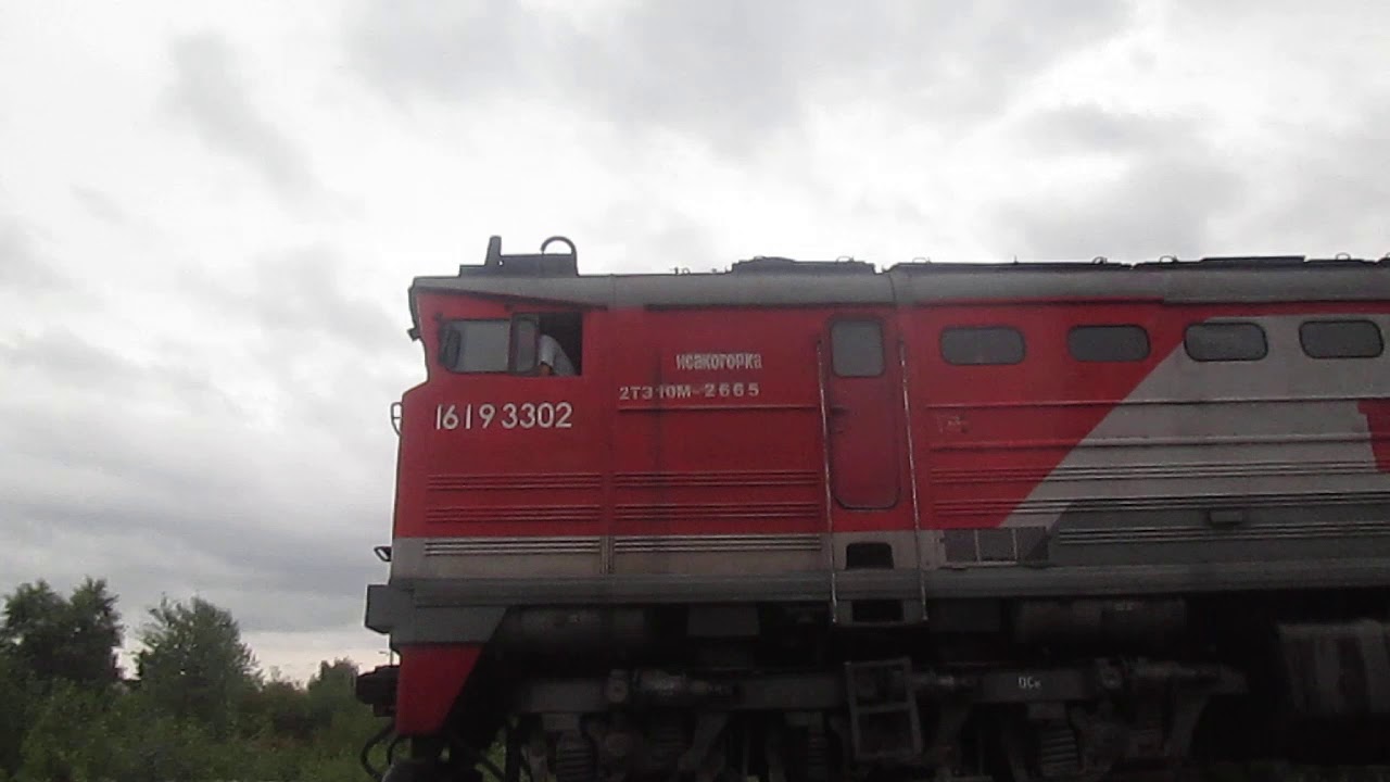 Тепловоз 2ТЭ10М-2665 с приветом и пустым грузовым составом едет в сторону Жаровихи смотреть онлайн