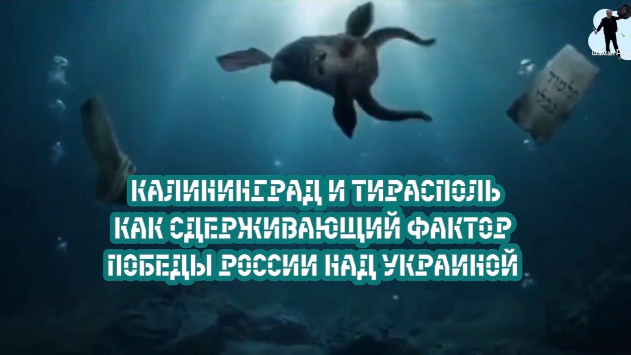 Калининград и Тирасполь, как сдерживающий фактор Победы России над Украиной! смотреть онлайн