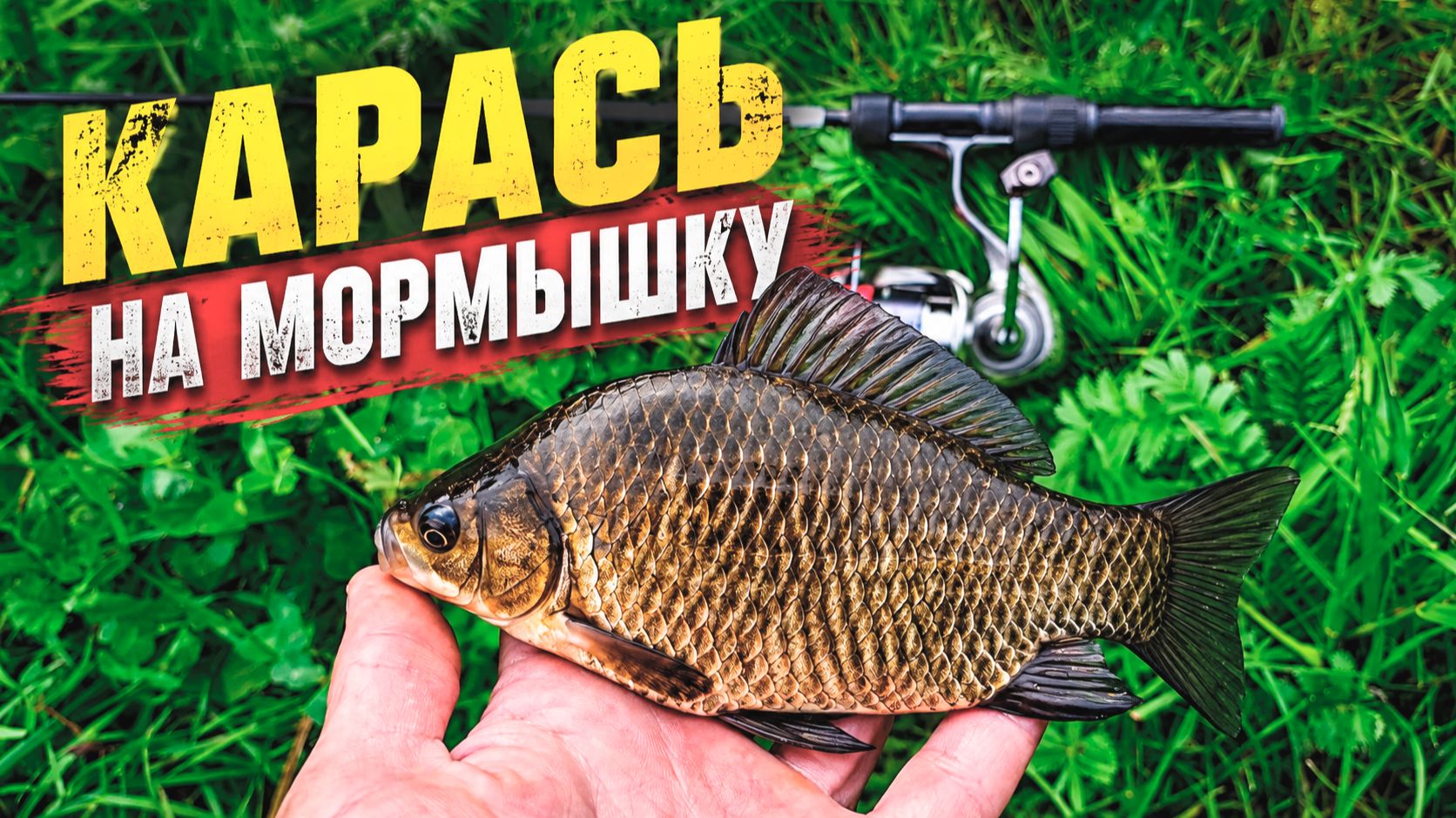 Ловля карася на мормышку. 100% насадка в деле! Рыбалка в Московской области.