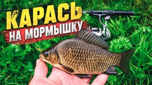 Ловля карася на мормышку. 100% насадка в деле! Рыбалка в Московской области.