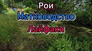 Очередные будни в пчеловодстве #пчеловодство #пчелы #топ #рек