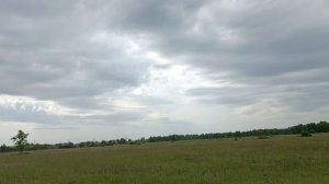 Прогулка