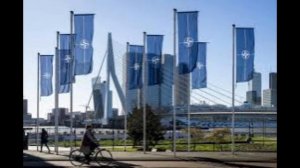 В Армении стартовали военные учения Eagle Partner-2026 с участием стран НАТО