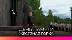 Программа модернизации электросетей охватит тысячи жителей Новгородской области