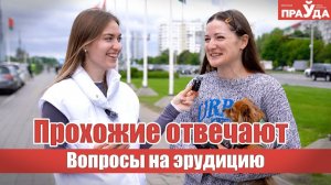 Загадки про лестницу, птицу и «зубы». Блиц-опрос на эрудицию