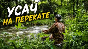 УСАЧ стоял на ПЕРЕКАТЕ и ОБОРВАЛ УДОЧКУ!