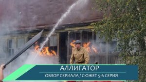 Аллигатор 5,6 серия - кто главный, загадка больницы - обзор серий