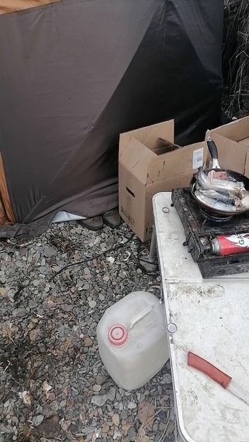 Мальма жаренная на берегу Японского моря