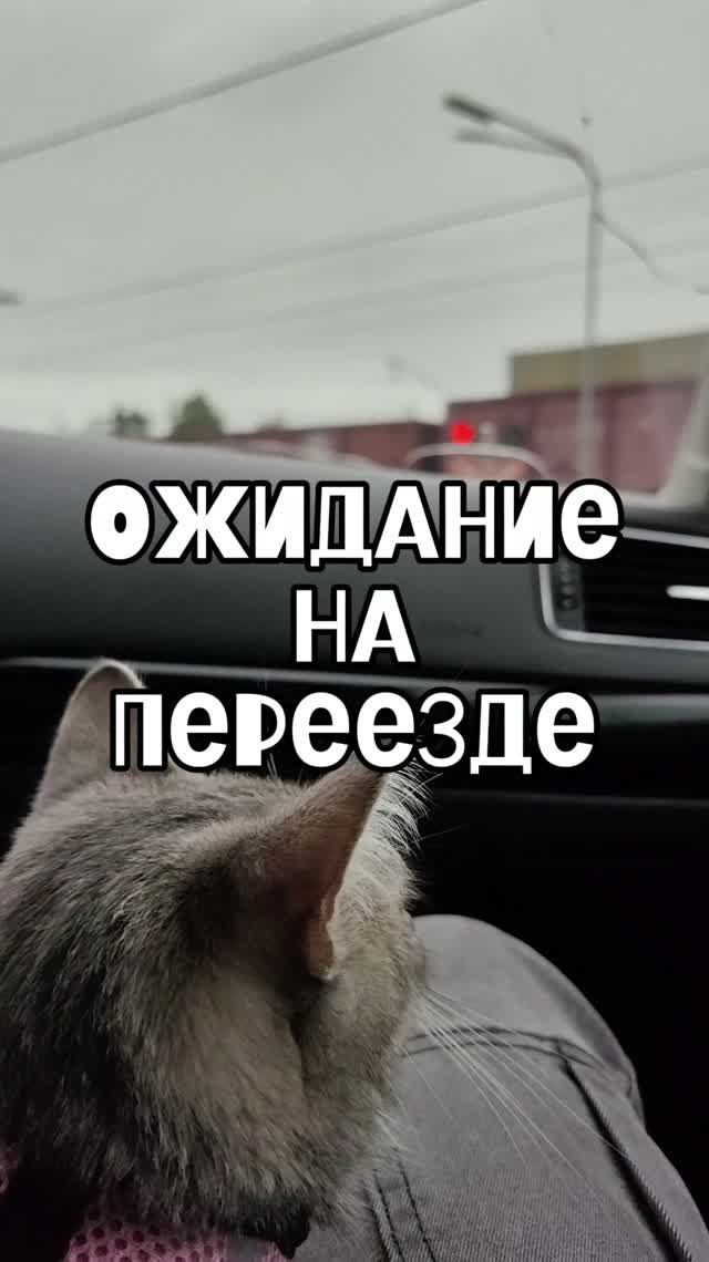 Ожидание на переезде