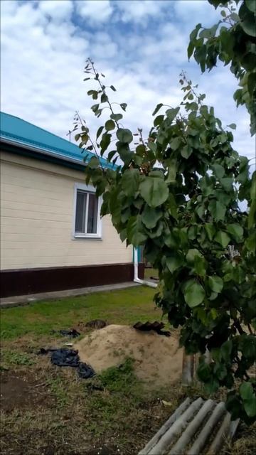 🏡 Дом на Юге❗ 78.9 м²🦯19.8 + 🎁12.7 соток🦯ГАЗ🦯3 100 000 ₽🦯ст. Новоминская🦯89245404992 Виктор🌴