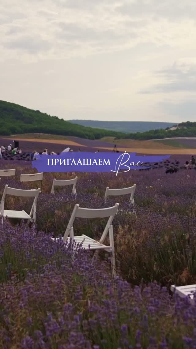 V Фестиваль 