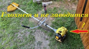Причина из за которой глохнет  и не заводится бензокоса / Триммер /