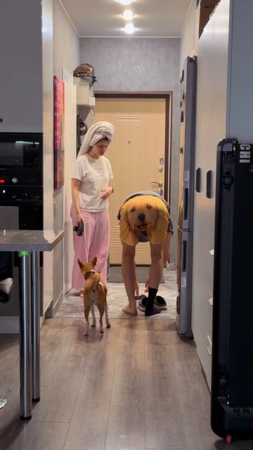 Новые видео - каждый день😎 Оставайся с нами 🥳 смотреть онлайн