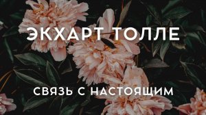 Экхарт Толле - КАК ПОДДЕРЖАТЬ СВЯЗЬ С НАСТОЯЩИМ. Живой голос