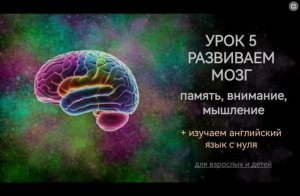 Развиваем мозг. Урок 5