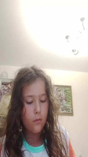 чипи