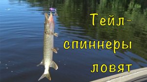 Рыбалка на ТЕЙЛ-СПИННЕРЫ. Они собирают всю рыбу.