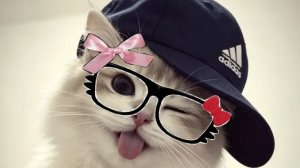 стрим часть 3 с которумбиком
