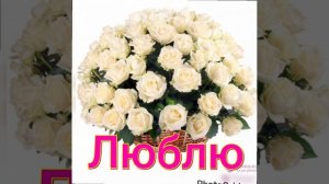 Любовь 💖 моя,как лебедь белая  Аркадий Кобяков