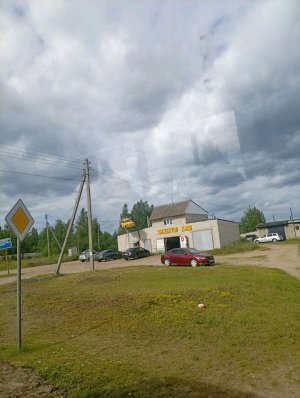 моя мама приехала