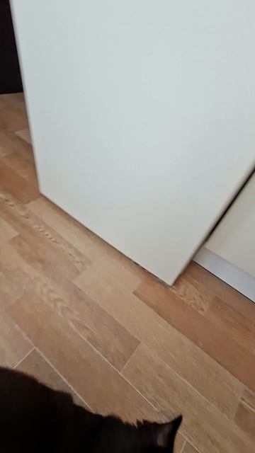 каманда суслик смотреть онлайн