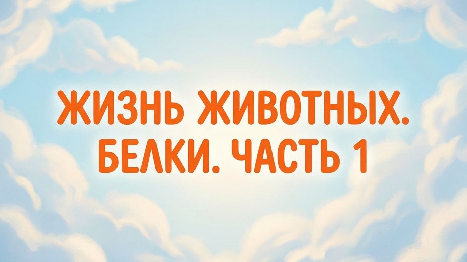 Жизнь животных. Белки. Часть 1