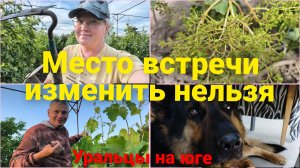 Место встречи изменить нельзя/Семейное дело.
