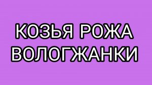 Сорняки захватывают грядки!