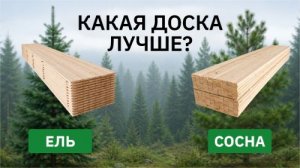 Какая доска лучше: ель или сосна?