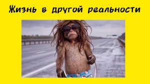 Жизнь в другой реальности