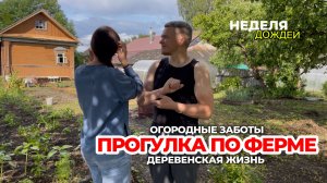 Деревенская ферма. Огородные дела. Клумба из битого кирпича.