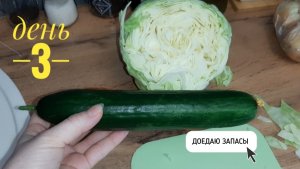 ДОЕДАЮ ЗАПАСЫ ЕДЫ. день 3