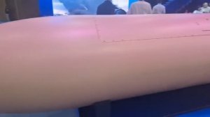 Это выставка вооружений в Париже  Eurosatory 2026. Украинский стенд. 
На нем демострируются последст