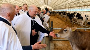 Лукашенко ознакомился с развитием племенного животноводства в Минской области