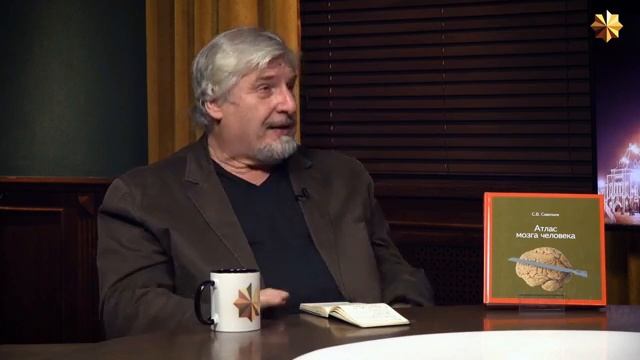 С.В. Савельев - Достаточный интеллект. смотреть онлайн