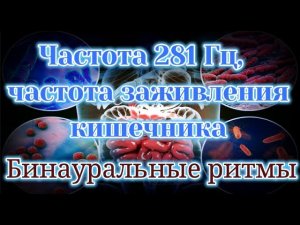 Частота 281 Гц, связанная с кишечником Частота заживления бинауральных ритмов