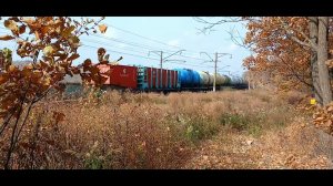Электровоз 3ЭС5К-351 «Ермак» со сборным грузовым поездом выходит из кривой,следуя по Транссибу.