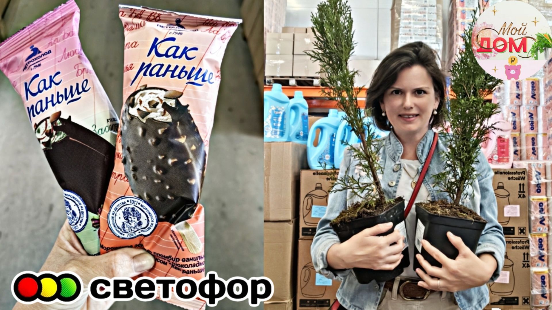 💞Как раньше в Светофоре ТУИ и герань июнь 2026🔥