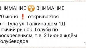 21.06.2026г г Тула Ждет Голубеводов на открытие Рынка!!!г Тула Ул Галкина 1 Д